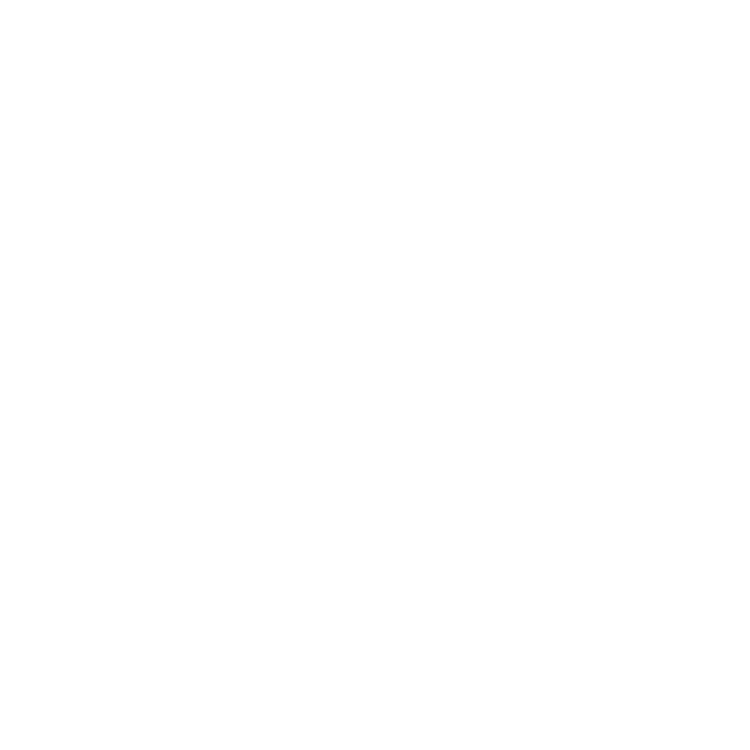 VW Logo